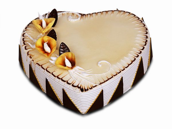 heart shape vanilla cake